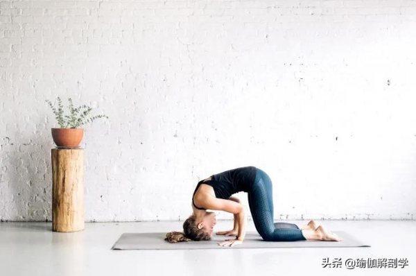 想要解鎖瑜伽三點頭倒立?先把這6個體式反覆練,就簡單多了 想要解鎖瑜伽三點頭倒立?先把這6個體式反覆練,就簡單多了