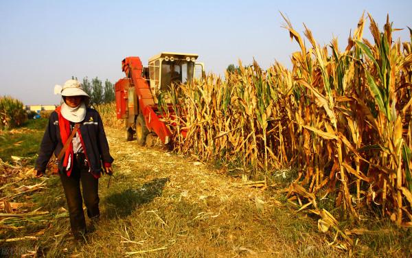 天氣預報：今天秋分，下雨好還是晴天好？3句農諺給出了答案