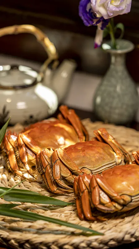 一葉知秋,烏鎮秋天的第一波美圖,誰看誰心動 | 烏鎮•美圖 一葉知秋,烏鎮秋天的第一波美圖,誰看誰心動 | 烏鎮•美圖