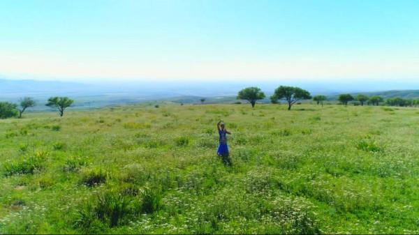萬人說新疆丨額敏縣野果林：草綠花燦 美景如畫