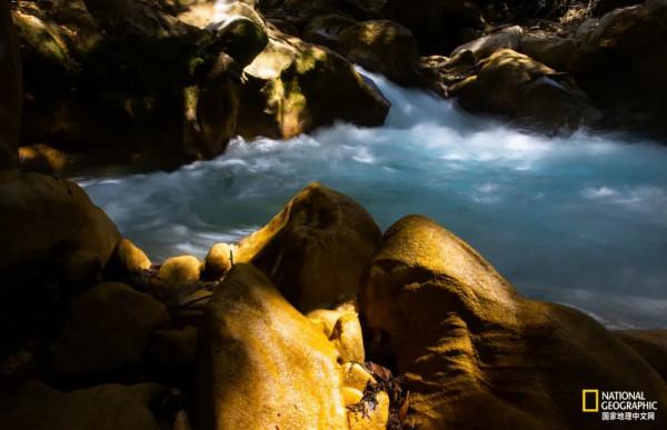 怒放的木裡，美到不真實