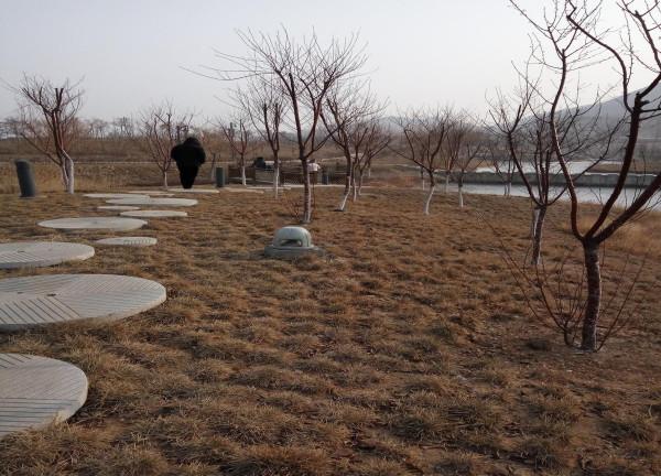 新年，很開心的一天