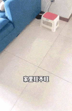 眼力測試！如果你看到的是一群人在游泳，那趕緊去看醫生吧