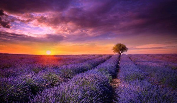 &OpenCurlyDoubleQuote;人走好運，早有徵兆&rdquo;，身上有三種跡象越明顯，越是好運