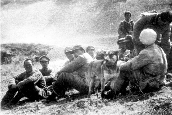 毛主席打了個極秘密的電報給劉鄧，稱陝北甚為困難，劉鄧隨即領會