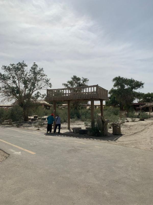 大美新疆（十）羅布人村