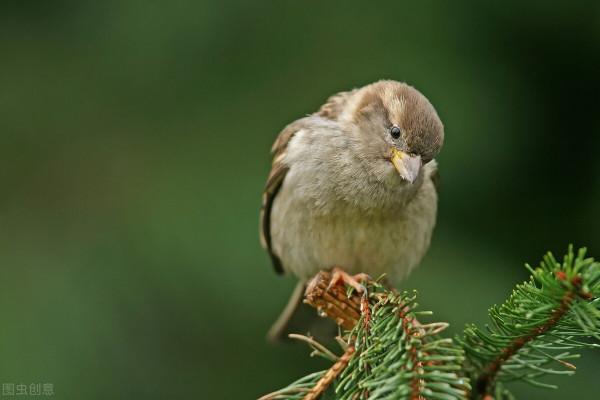 河南娃在寶雞的成長故事「番外篇」:神的預言 河南娃在寶雞的成長故事「番外篇」:神的預言
