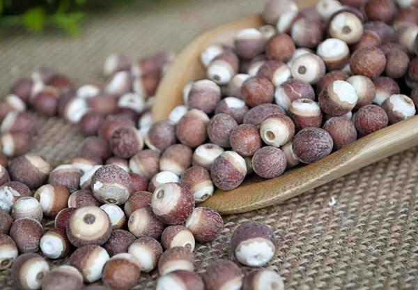 秋季：宜吃果，忌吃瓜，5種“果”經常吃，或能健脾、補氣血