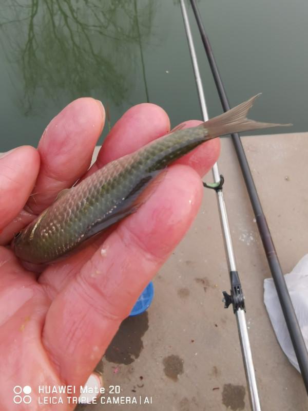 與小雜魚鬥智鬥勇,拼比毅力和耐性 與小雜魚鬥智鬥勇,拼比毅力和耐性