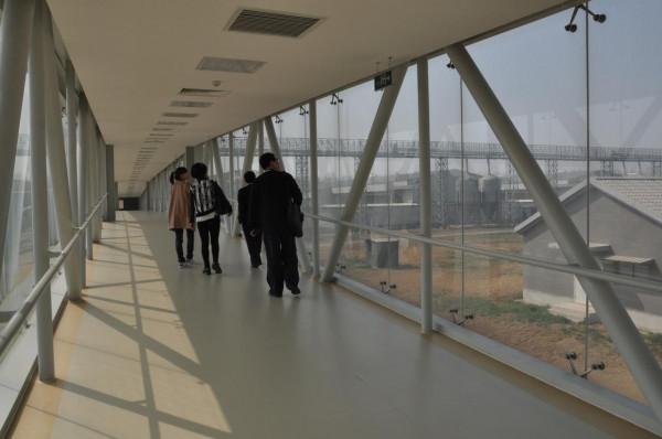 城裡人吃的雞蛋從哪裡來？每天產出240萬枚雞蛋的工廠瞭解一下