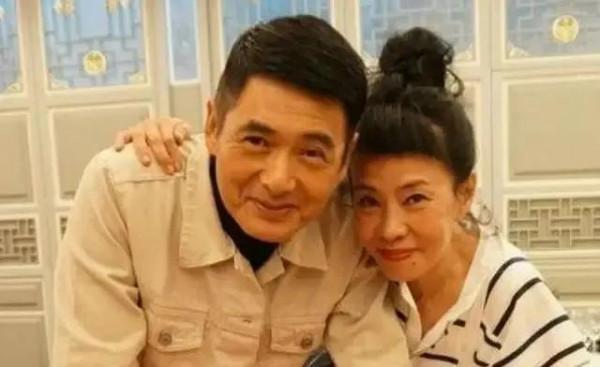 決定丁克的明星們