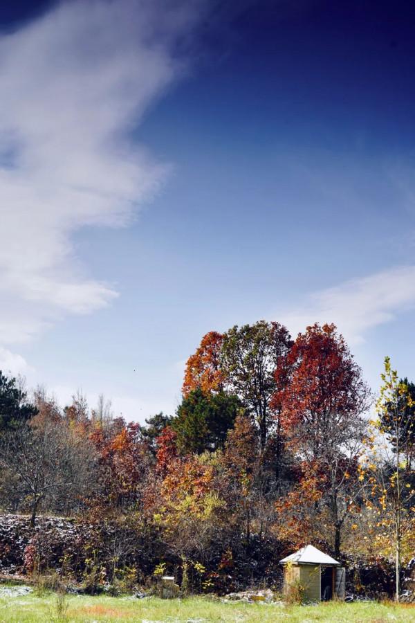 走!伏牛山裡過“彩冬” 走!伏牛山裡過“彩冬”