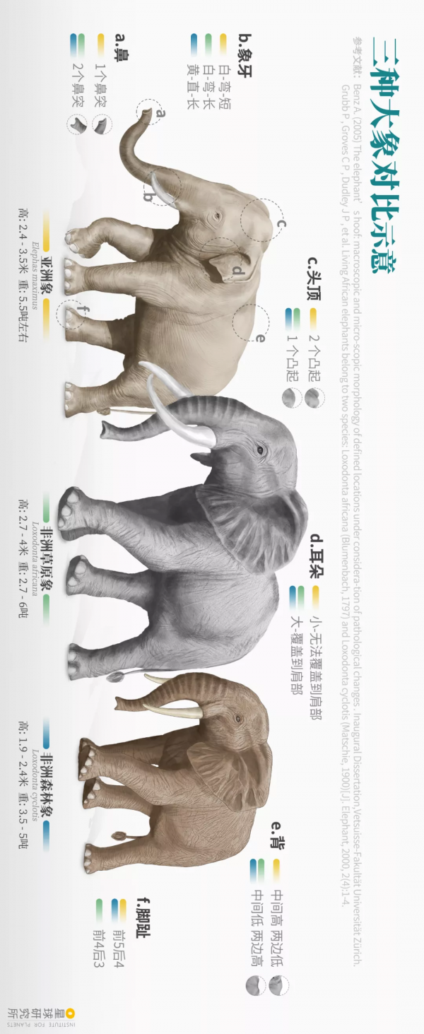 2021年度動物，是誰？