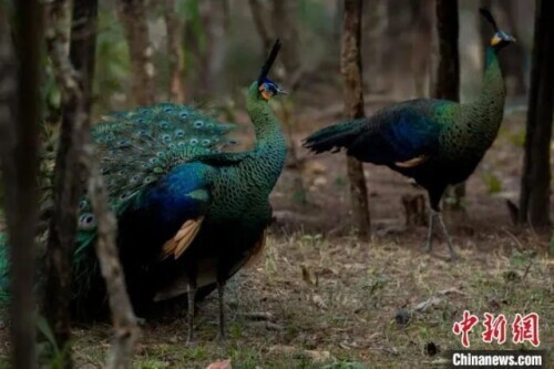 為什麼是雲南？看完我就開始查機票了……