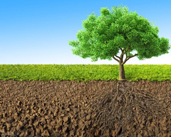 步入老年牙齒出現缺失，是衰老的正常現象，做好修復有助長壽