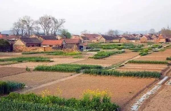 農村戶口“大整頓”開始！這幾種情況要儘快處理