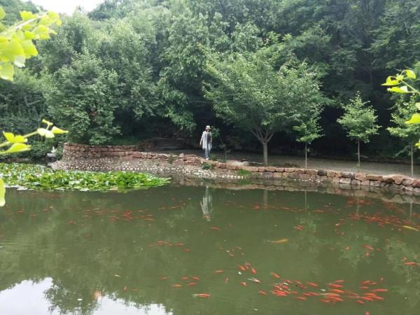 大連的三座高句麗古山城遺蹟