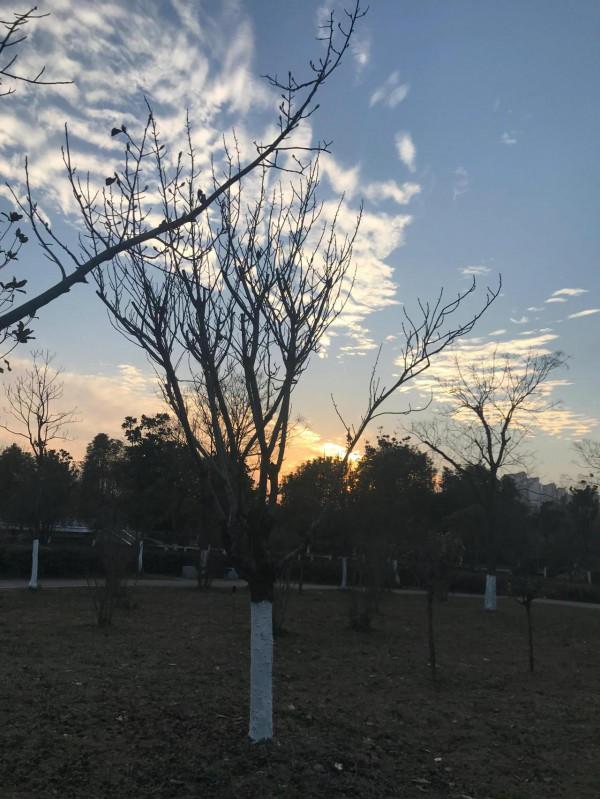 李靚蕾發文實錘王力宏：我有多愛你，就有多恨你