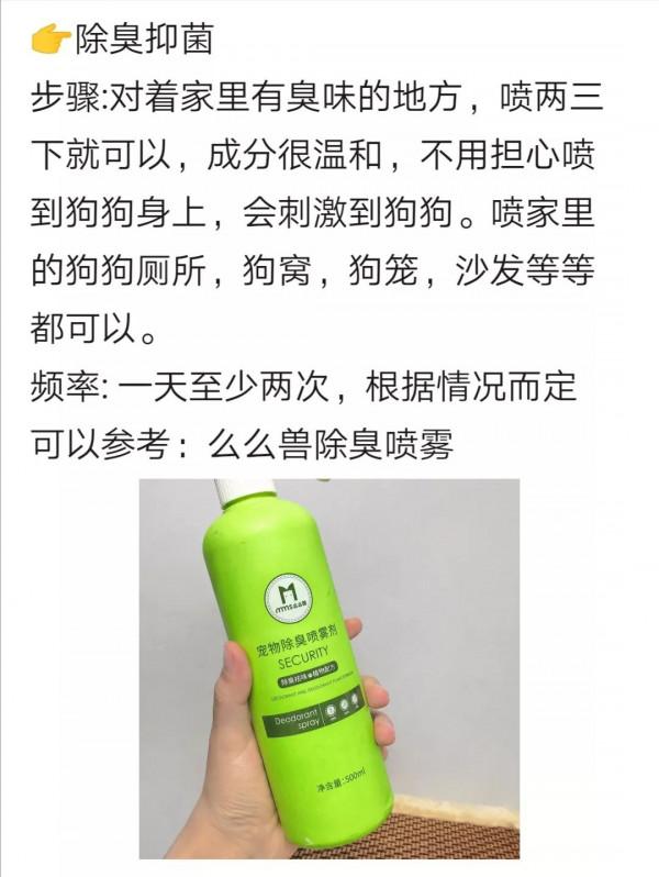 多年養狗人告訴你：這樣養狗才正確