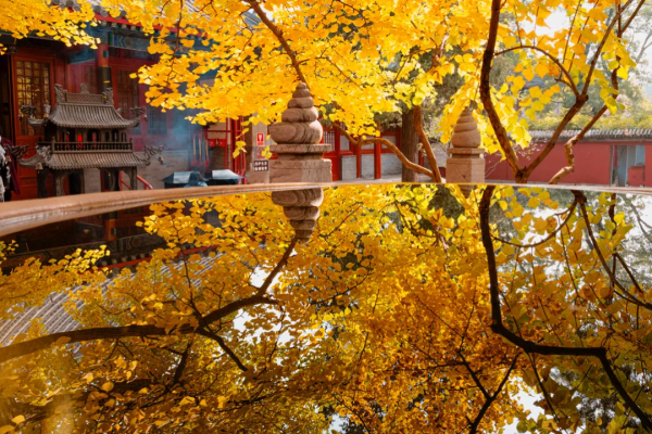 在北京過個秋天，立刻退掉了去騰衝的機票