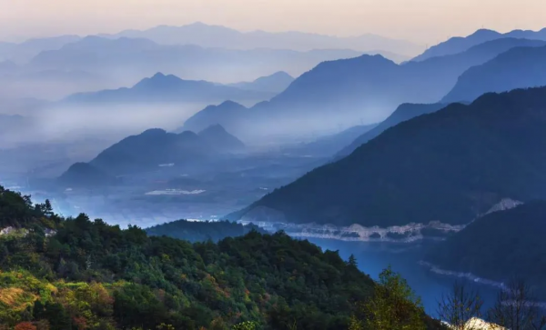 700年神秘古村落意外走紅！霧海竹林萬畝，24h鮮氧環繞，宛若仙境