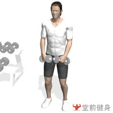 健身房一週4練健身計劃（初級）