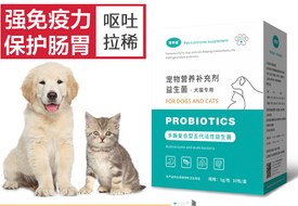 在家中常備這幾種藥，你的寵物再也不怕生病了