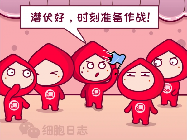 【獻血小知識】少量失血不可怕，人人體內都有大小&OpenCurlyDoubleQuote;血庫&rdquo;