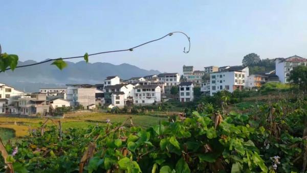 「原創詩詞」李遂生 | 才女回孃家 拙詩描繪她(絕律十六首)