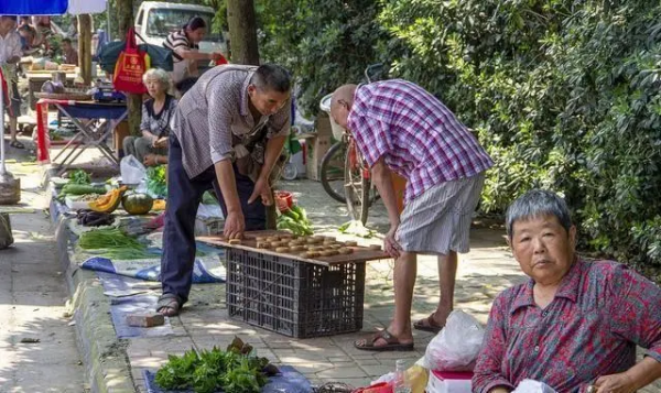 農民工回農村種地不掙錢,打工又沒人要,這3個小生意可以試試 農民工回農村種地不掙錢,打工又沒人要,這3個小生意可以試試