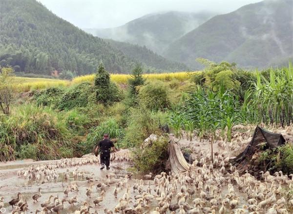 他身高1米2,結婚後幫2個弟弟娶媳婦,今一家10口住別墅不分家 他身高1米2,結婚後幫2個弟弟娶媳婦,今一家10口住別墅不分家