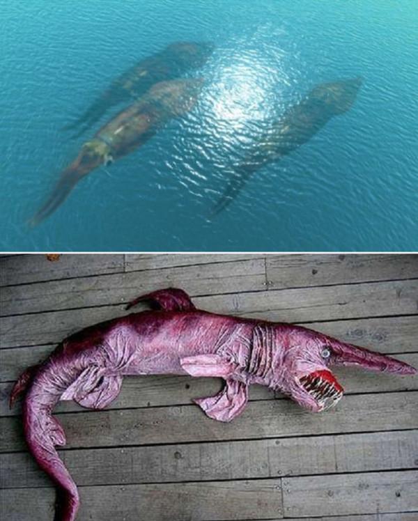 有些照片看似普通,卻讓人感到恐懼 有些照片看似普通,卻讓人感到恐懼