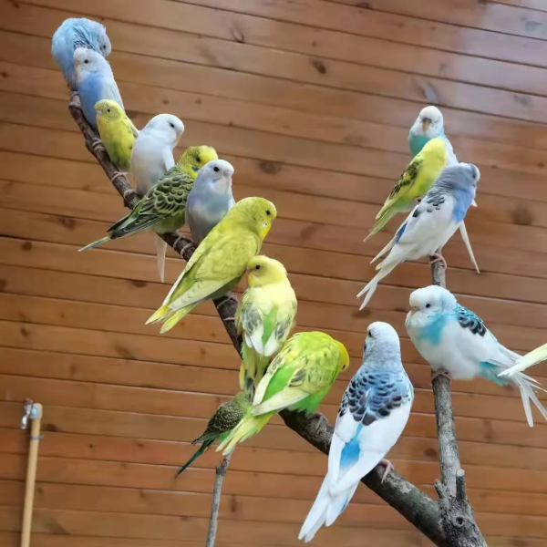 【我們的節日】預備!一起出發~ 【我們的節日】預備!一起出發~