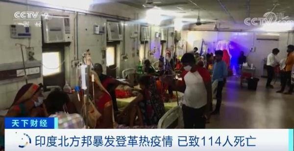拉響警報!114人死亡,印度現嚴重登革熱疫情 拉響警報!114人死亡,印度現嚴重登革熱疫情