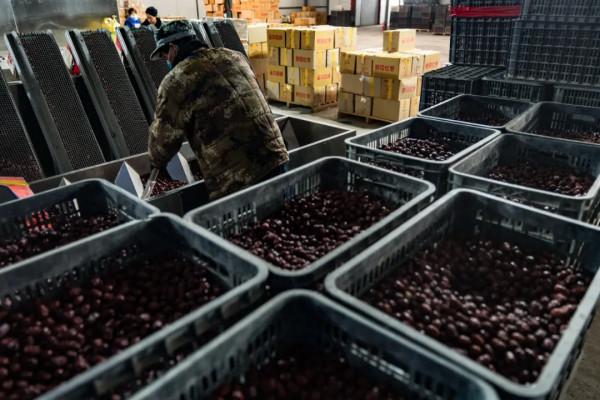 農村電商為什麼能啟用青年創業者？| 品牌新事