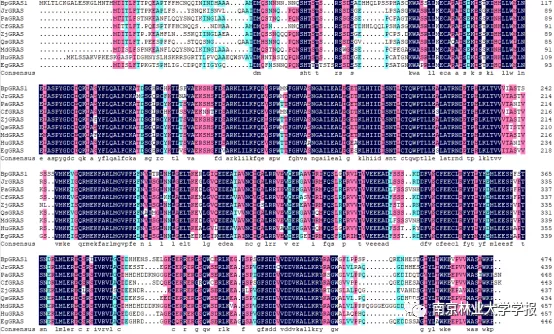 論文推薦 || 白樺BpGRAS1基因的克隆及耐鹽功能分析