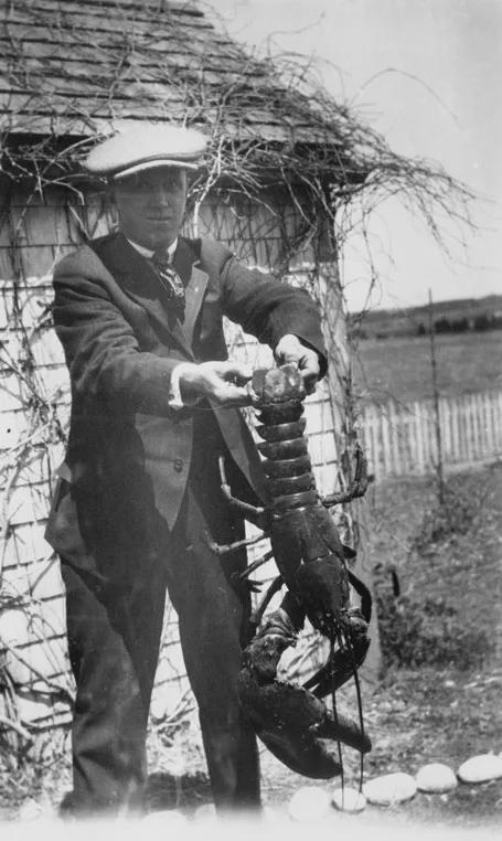 加拿大龍蝦加工的那些事:從龍蝦罐頭到自嗨鍋 加拿大龍蝦加工的那些事:從龍蝦罐頭到自嗨鍋