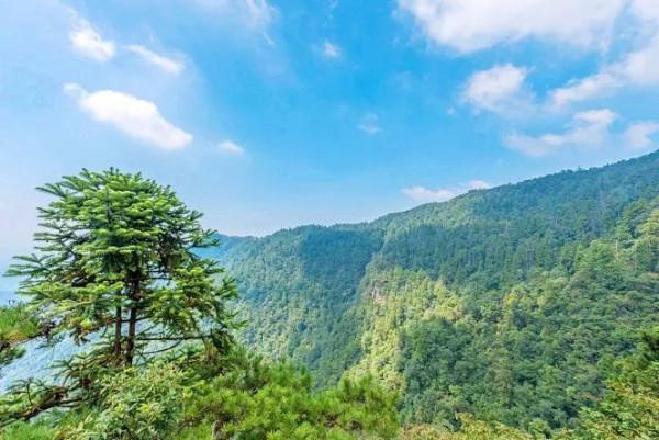 佘山、惠山、天目山、黃山……長三角這些山,你攀登過幾座? 佘山、惠山、天目山、黃山……長三角這些山,你攀登過幾座?