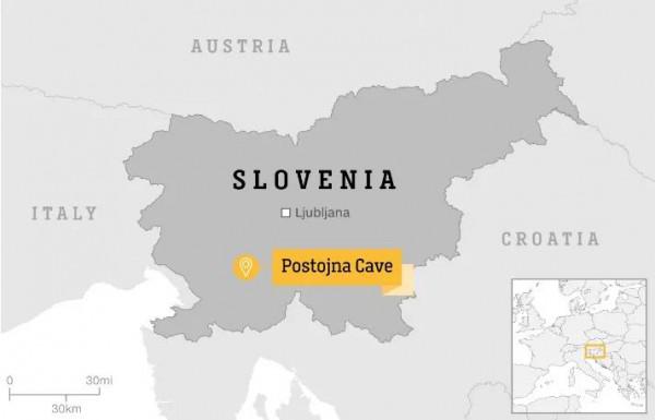 解密龍寶寶,罕見的龍寶寶已出現在斯洛維尼亞水簇館 解密龍寶寶,罕見的龍寶寶已出現在斯洛維尼亞水簇館