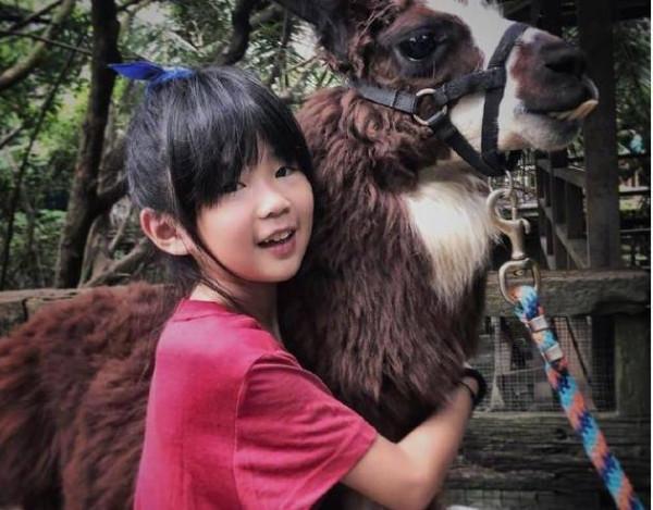 吳鎮宇兒子發福、郭濤兒子變壯、小瀋陽女兒變美，昔日萌娃大變樣