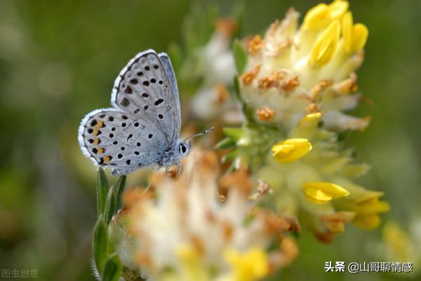 人生到最後，其實就是“活自己”
