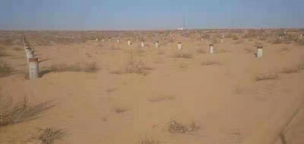 困在光伏裡的老人:失去土地痛罵“敗家子”拿出養老本還貸 困在光伏裡的老人:失去土地痛罵“敗家子”拿出養老本還貸