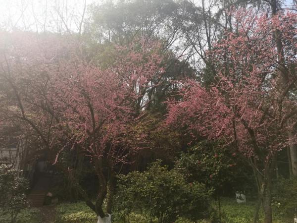 嘉陵江小三峽封神榜•溫塘峽篇（12）