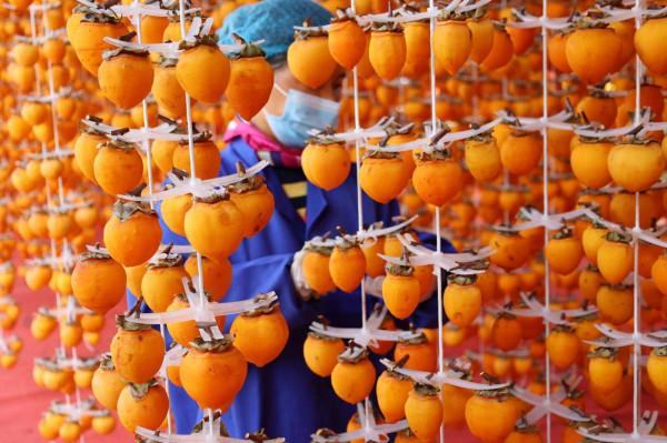 冬季水果價格漲多跌少：草莓價格高到不敢多吃，柿子價格迎來巔峰