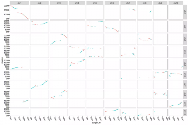 PNAS | 宋寶興博士開發針對農作物等複雜基因組的序列比對工具