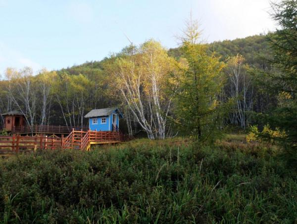 北京自駕4個小時，去承德壩上七彩森林，這裡的秋天太美了