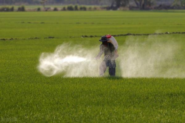如何科學使用農藥？掌握這些方法，能有效防止藥害發生