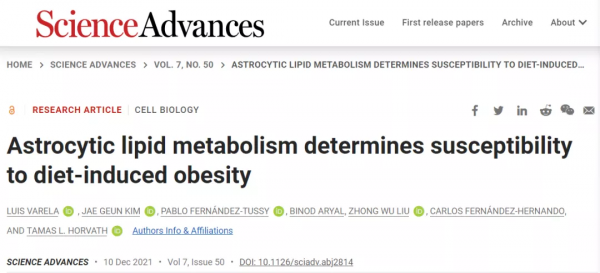 為啥有人怎麼吃都不胖?來自耶魯的答案:原因可能藏在大腦裡 為啥有人怎麼吃都不胖?來自耶魯的答案:原因可能藏在大腦裡
