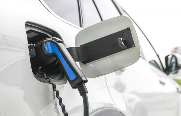 新能源板塊迎來曙光，低估值概念獲看好，機構預測這些股業績高增