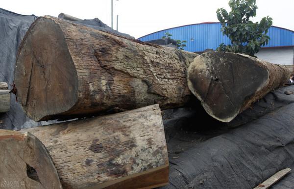 國標紅木有那麼多種材質，購買紅木傢俱時該如何選擇！記住這五點